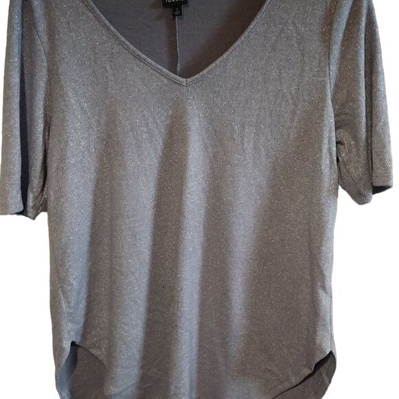 Torrid Womens Metallic Gray V-Neck High-Low Top Size 2 Shimmery Glitter Classic - Picture 1 of 8